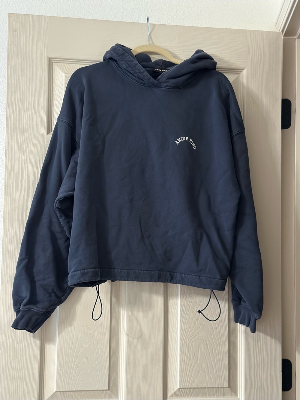 Anine Bing Lucy Hoodie